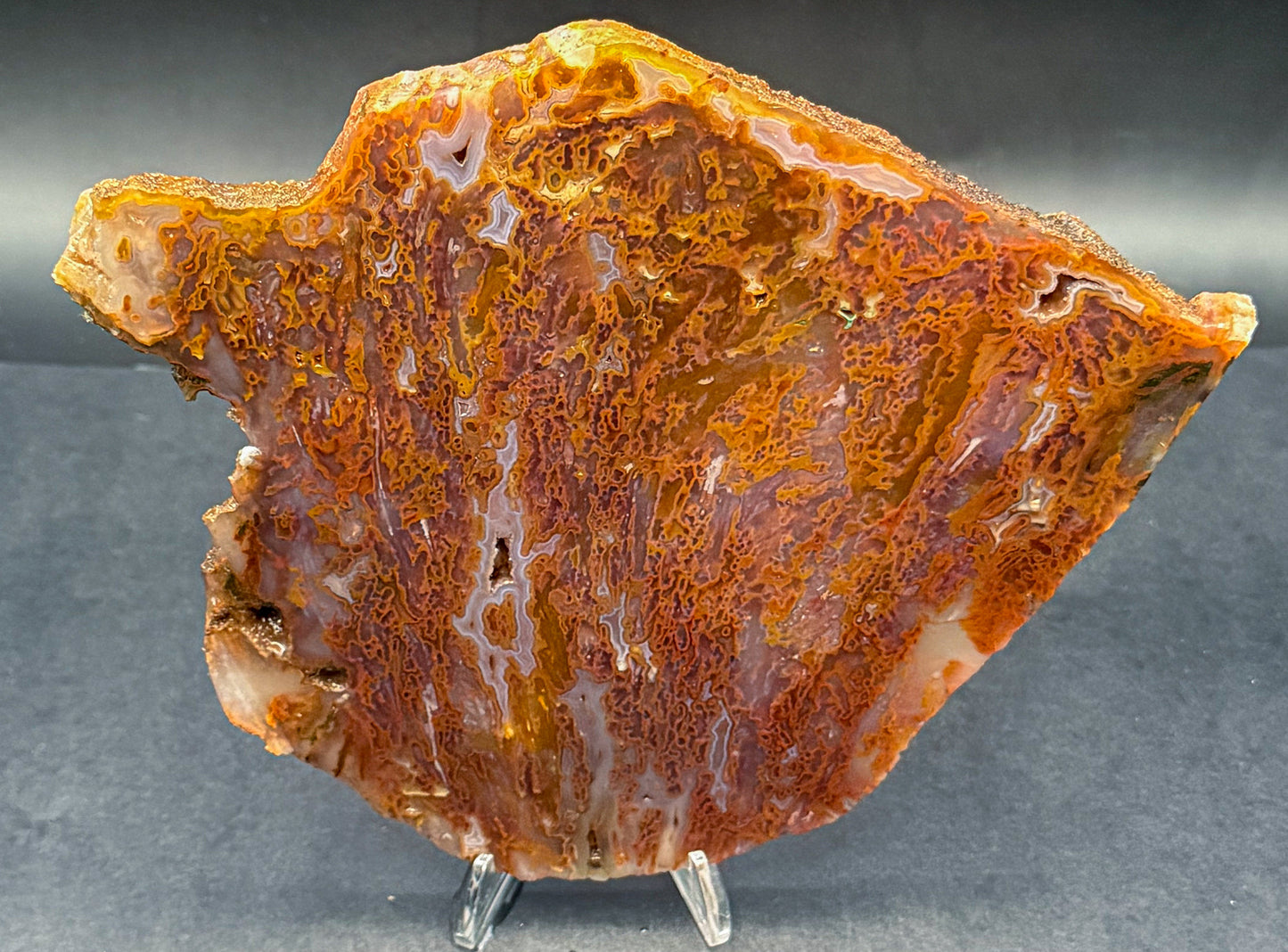 Bull Canyon Tube/Moss Agate (Unpolished)