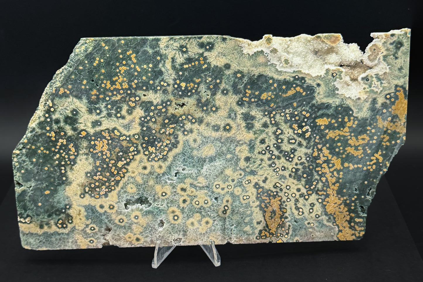1st Vein Ocean Jasper (Unpolished)