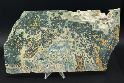 1st Vein Ocean Jasper (Unpolished)