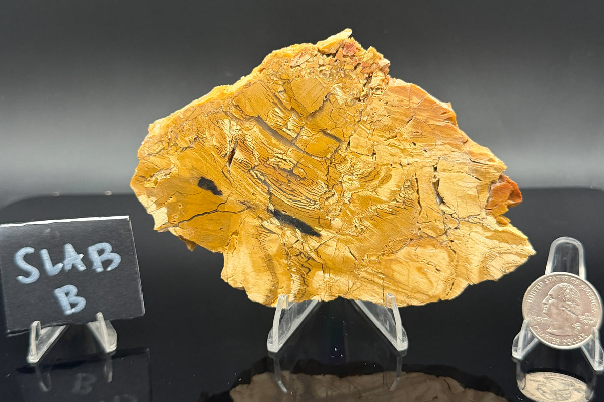 Howardite Jasper