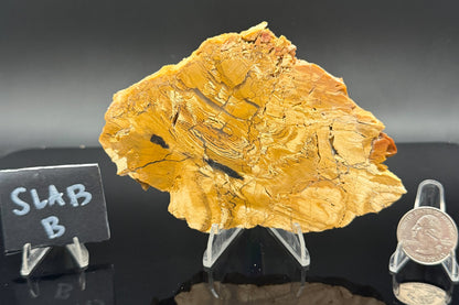 Howardite Jasper