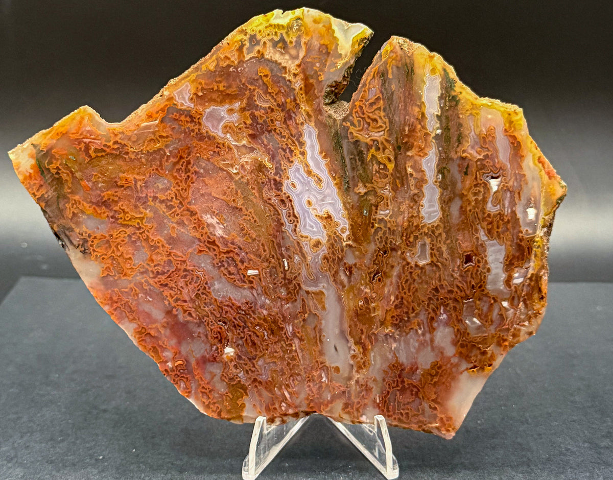 Bull Canyon Tube/Moss Agate (Unpolished)