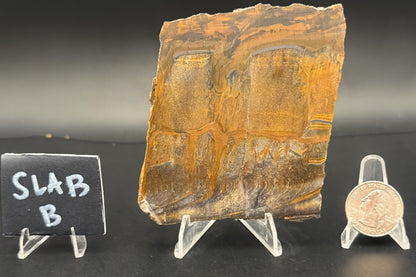 Tiger Eye (Unpolished)