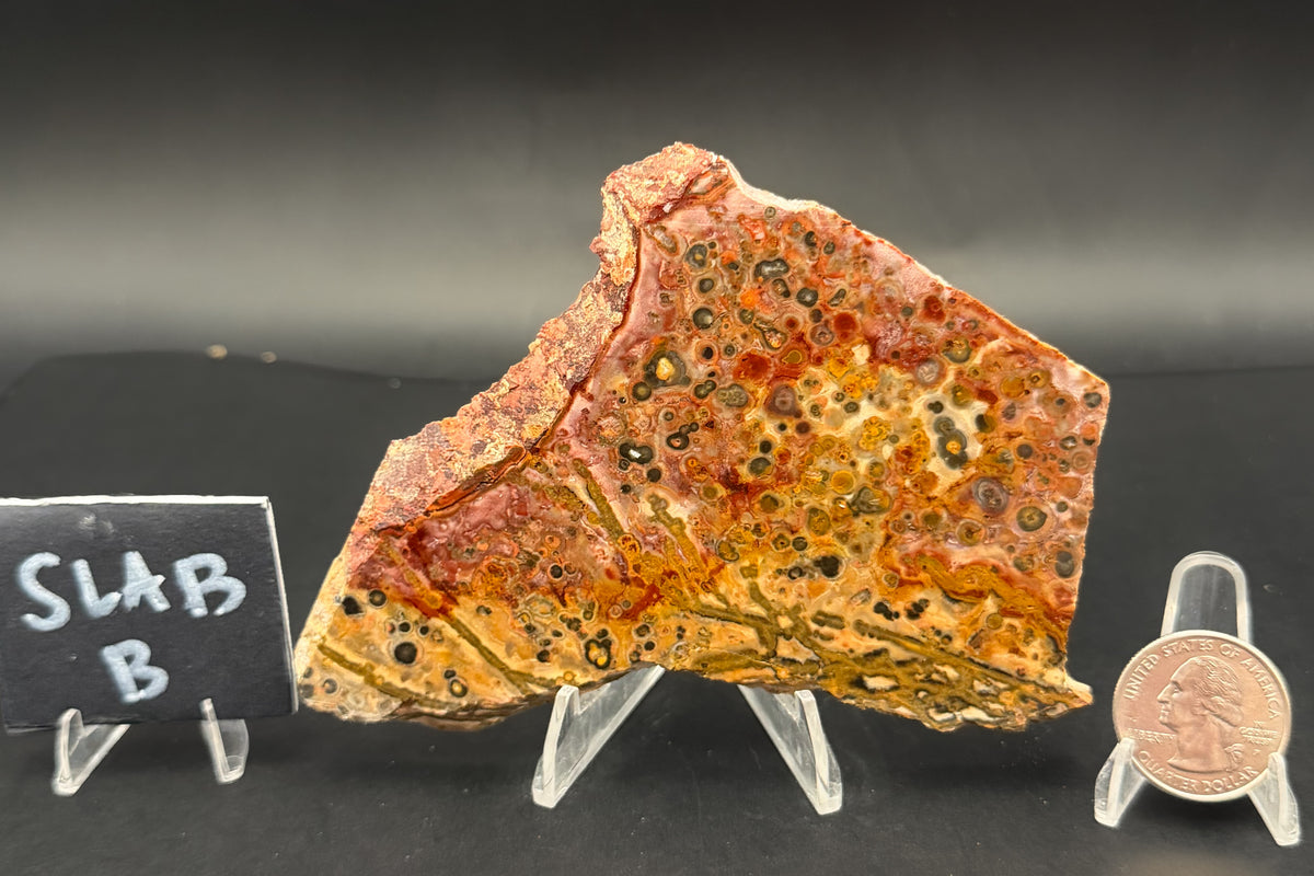Leopard Skin Rhyolite (Unpolished)