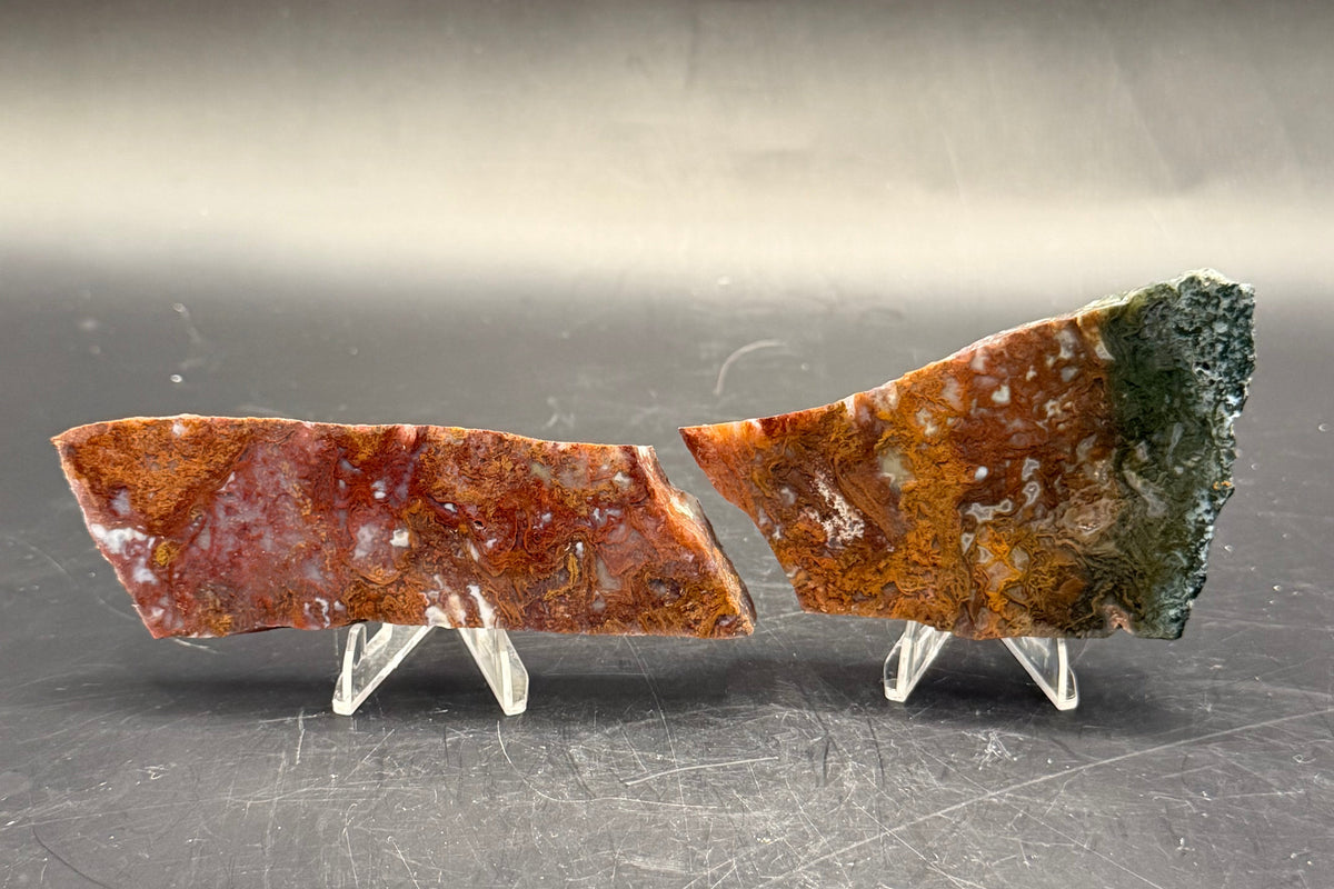 Maury Mountain Moss Agate (Unpolished) Slabs