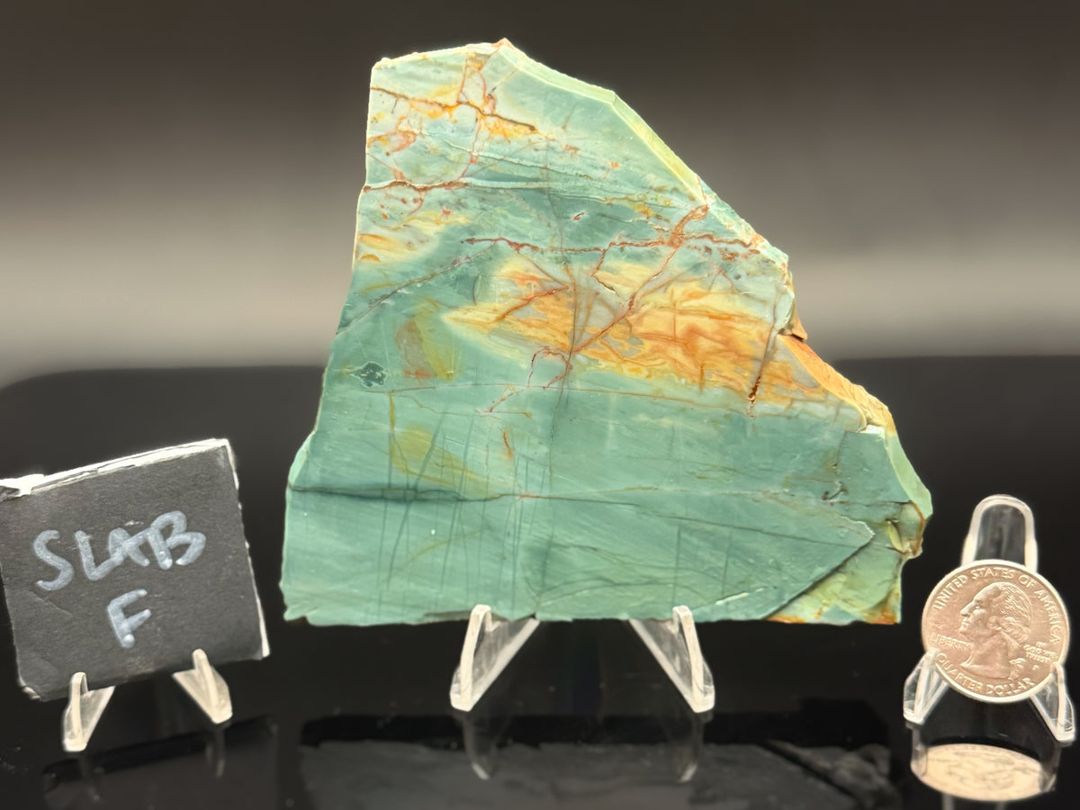 Skagg's Jasper (Unpolished)