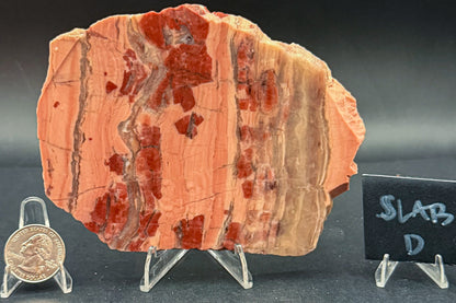 Unpolished Kona Dolomite
