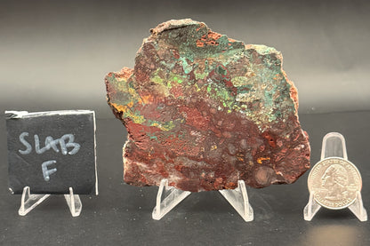 Apache Chrysocolla (Unpolished)