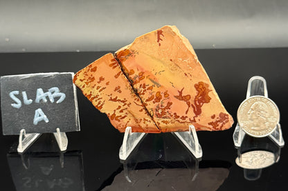 Owyhee Jasper (Unpolished)