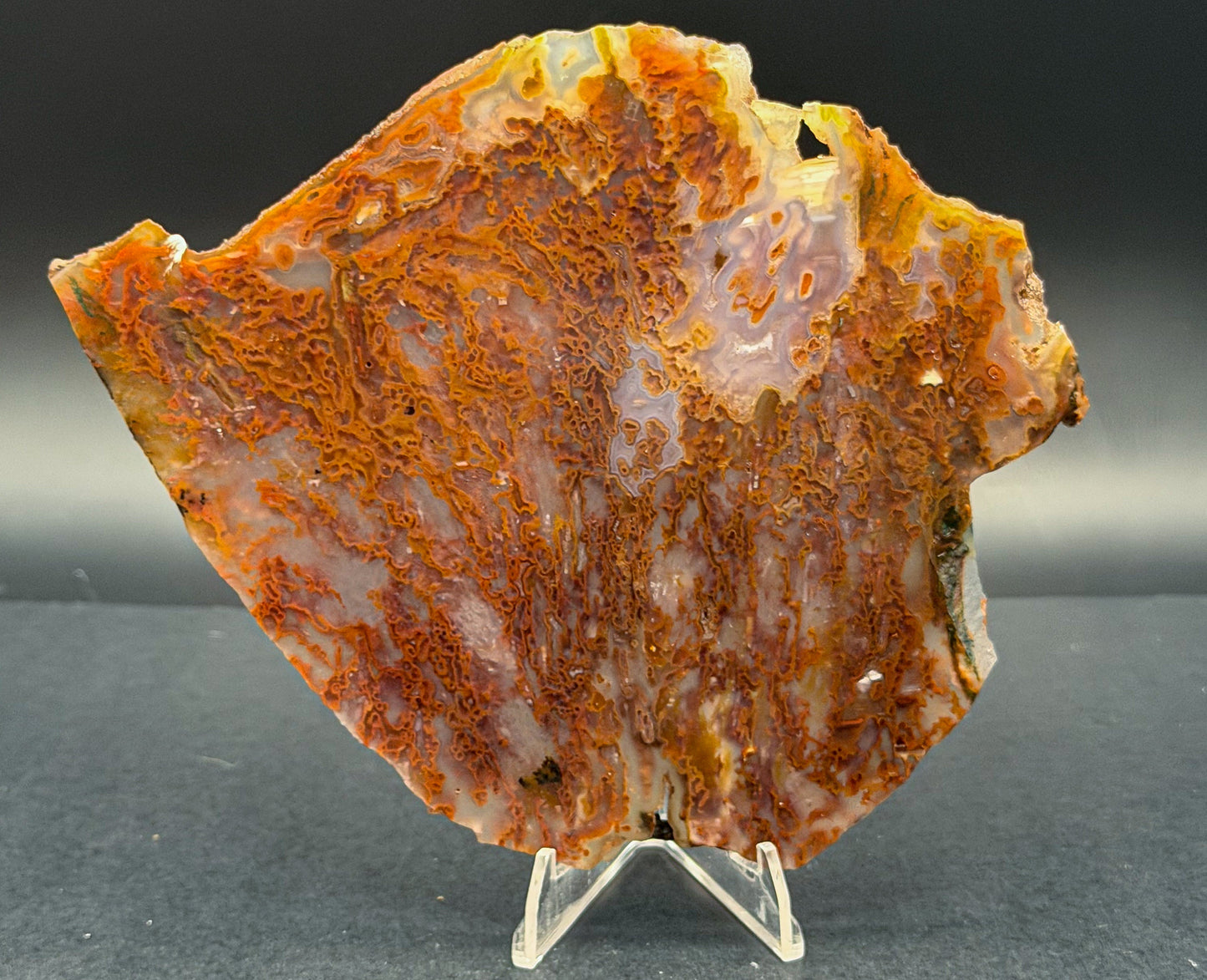 Bull Canyon Tube/Moss Agate (Unpolished)