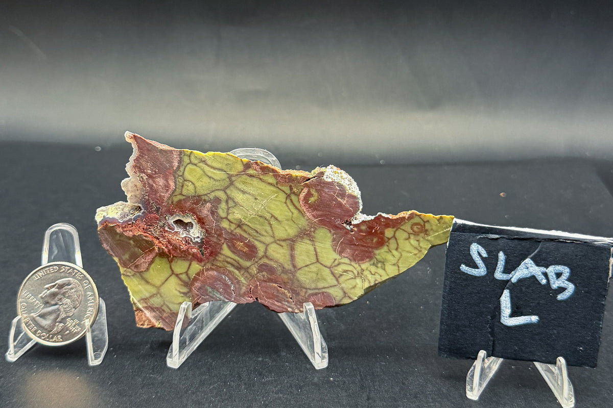 Spiderweb Jasper (Unpolished)