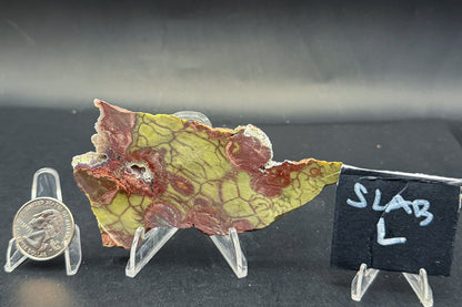 Spiderweb Jasper (Unpolished)
