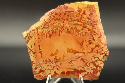 Owyhee Jasper (Unpolished)