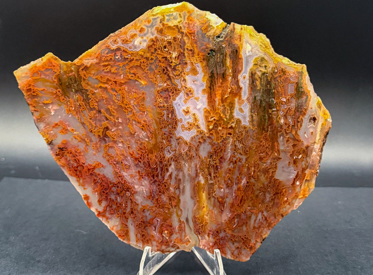 Bull Canyon Tube/Moss Agate (Unpolished)