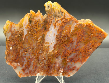 Bull Canyon Tube/Moss Agate (Unpolished)