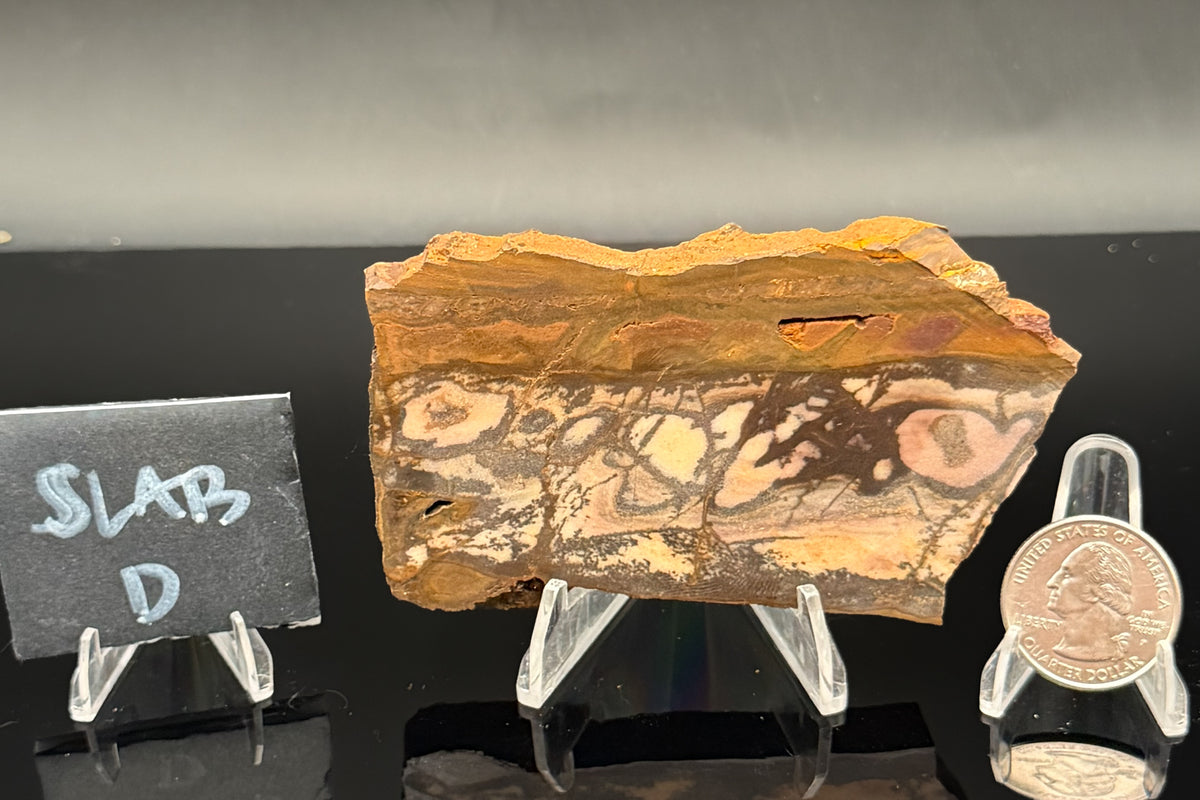 Outback Jasper (Unpolished)