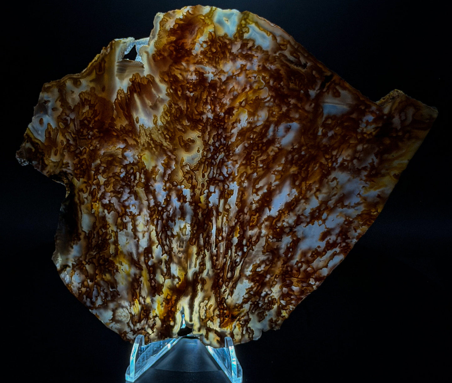 Bull Canyon Tube/Moss Agate (Unpolished)
