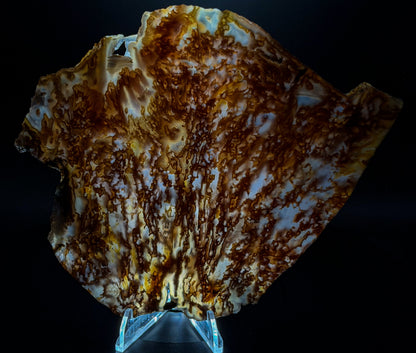 Bull Canyon Tube/Moss Agate (Unpolished)