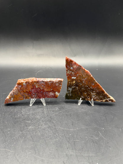 Maury Mountain Moss Agate (Unpolished) Slabs