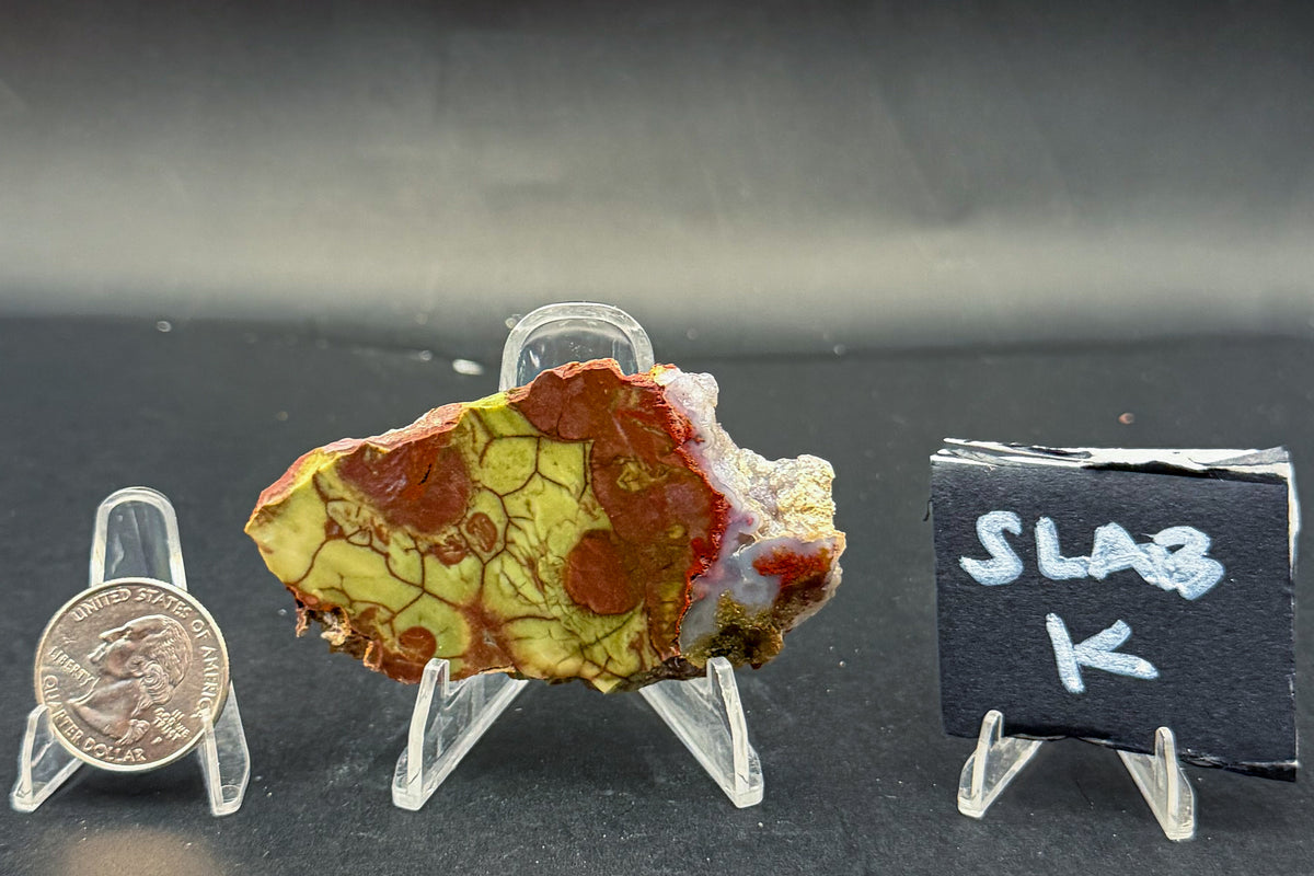 Spiderweb Jasper (Unpolished)