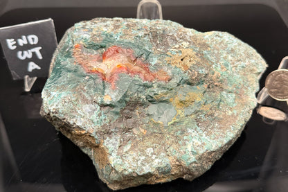 Turkish Limbcast with Agatized Chrysocolla (Unpolished)