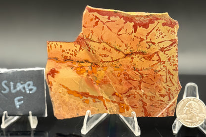 Owyhee Jasper (Unpolished)