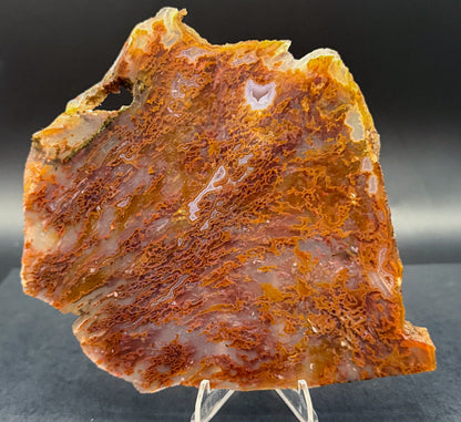 Bull Canyon Tube/Moss Agate (Unpolished)
