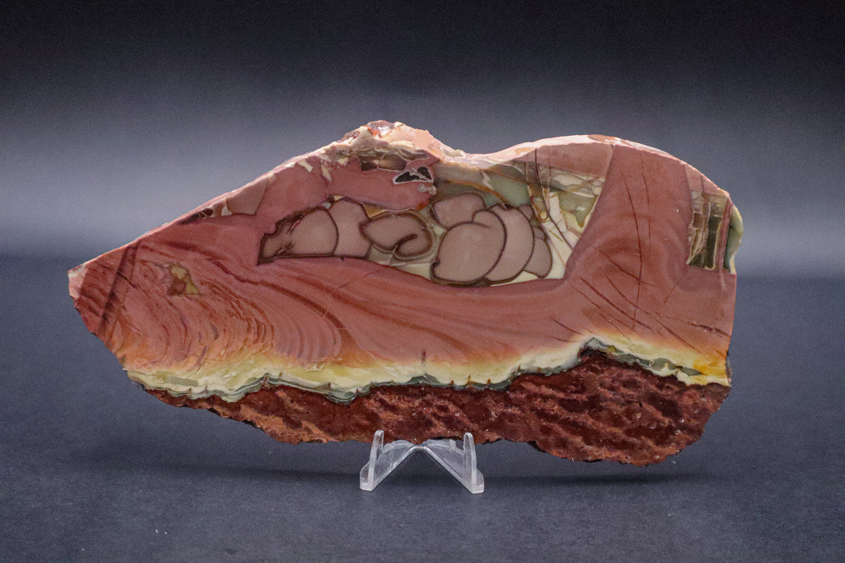Willow Creek Jasper - Unpolished (AAA)
