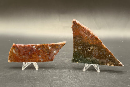 Maury Mountain Moss Agate (Unpolished) Slabs