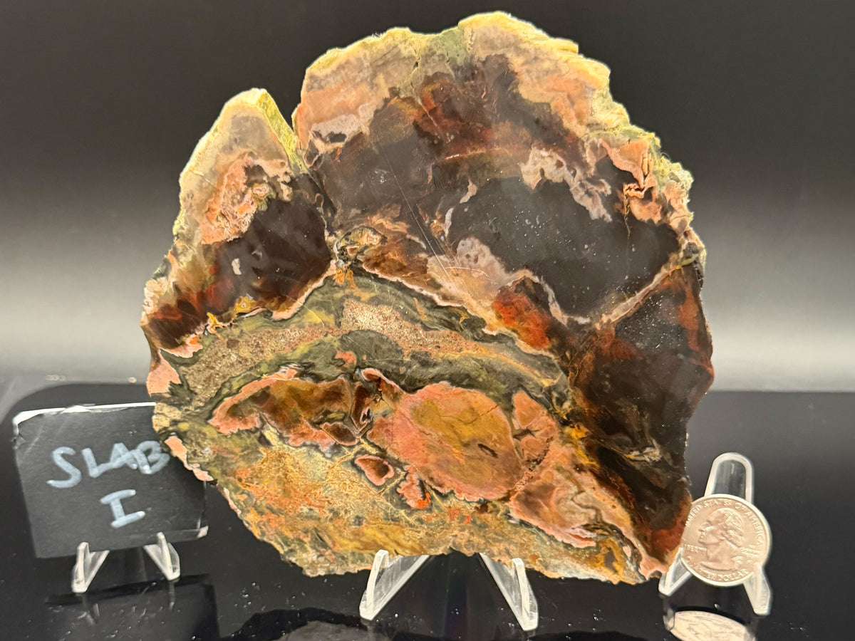 Turkish Petrified Wood (Unpolished)