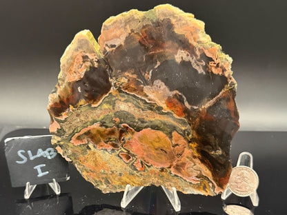 Turkish Petrified Wood (Unpolished)