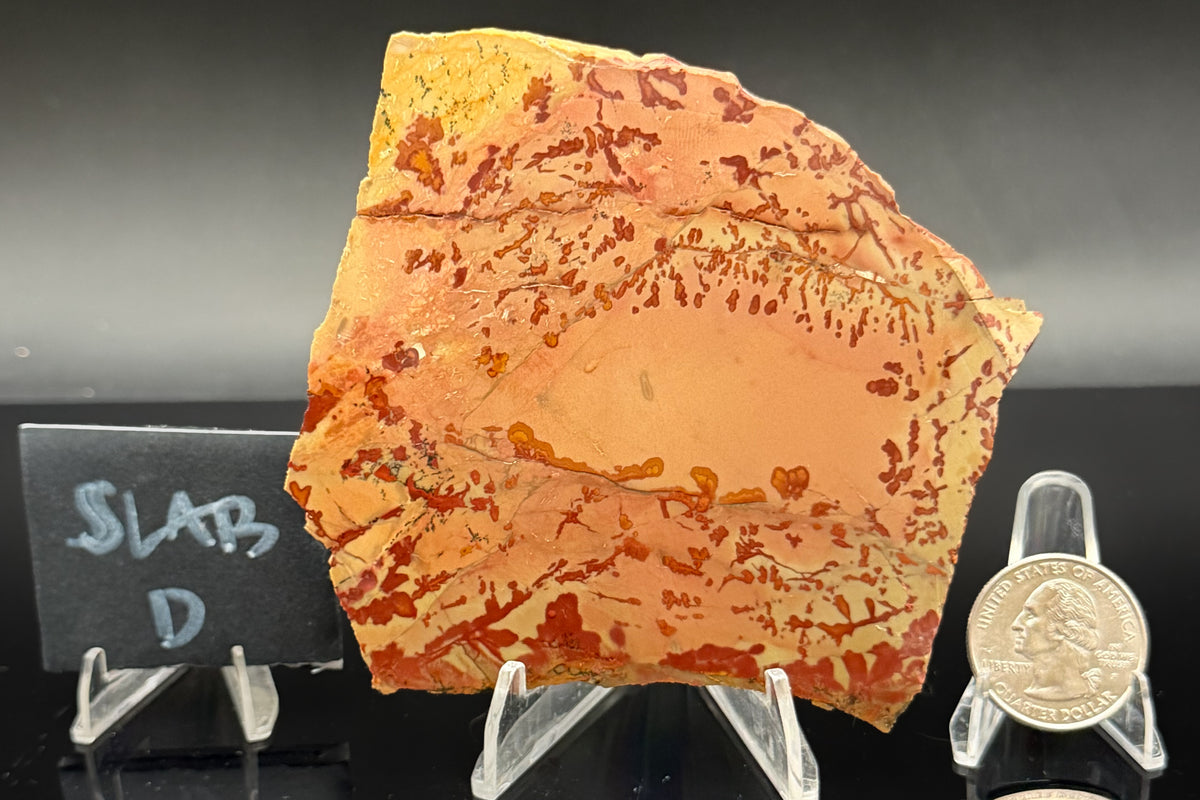 Owyhee Jasper (Unpolished)