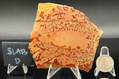 Owyhee Jasper (Unpolished)