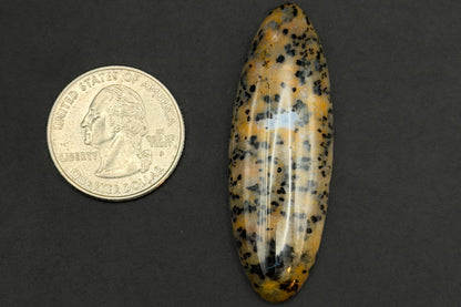 Cheetah Agate