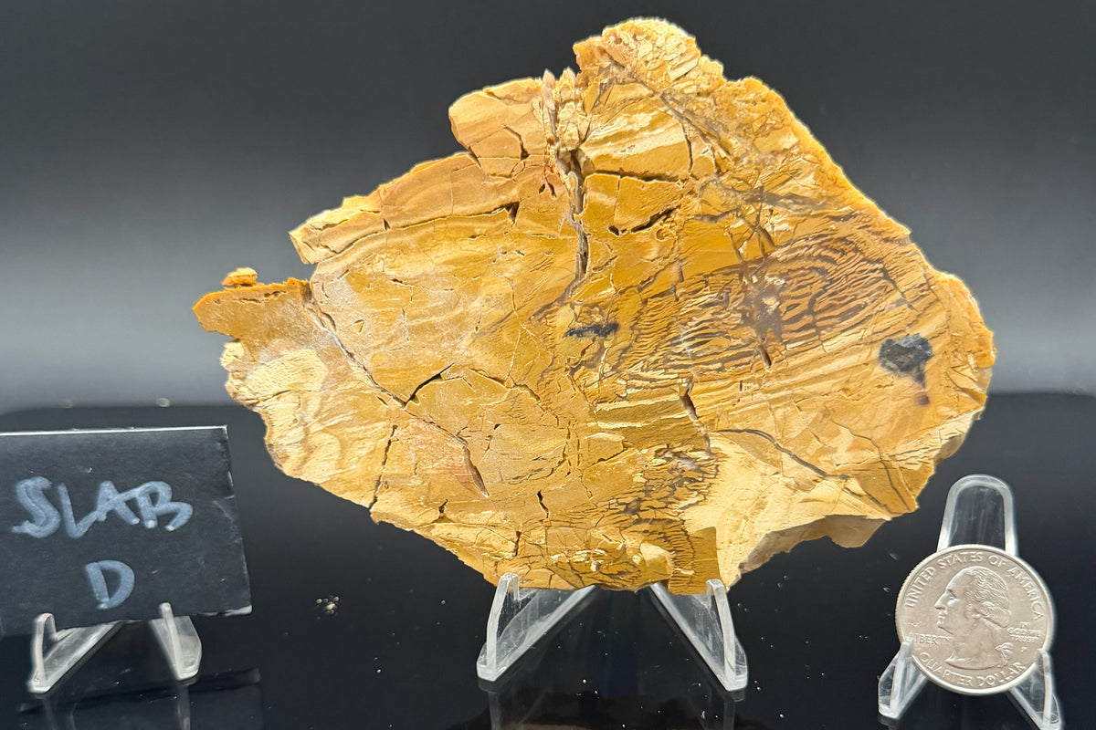 Howardite Jasper