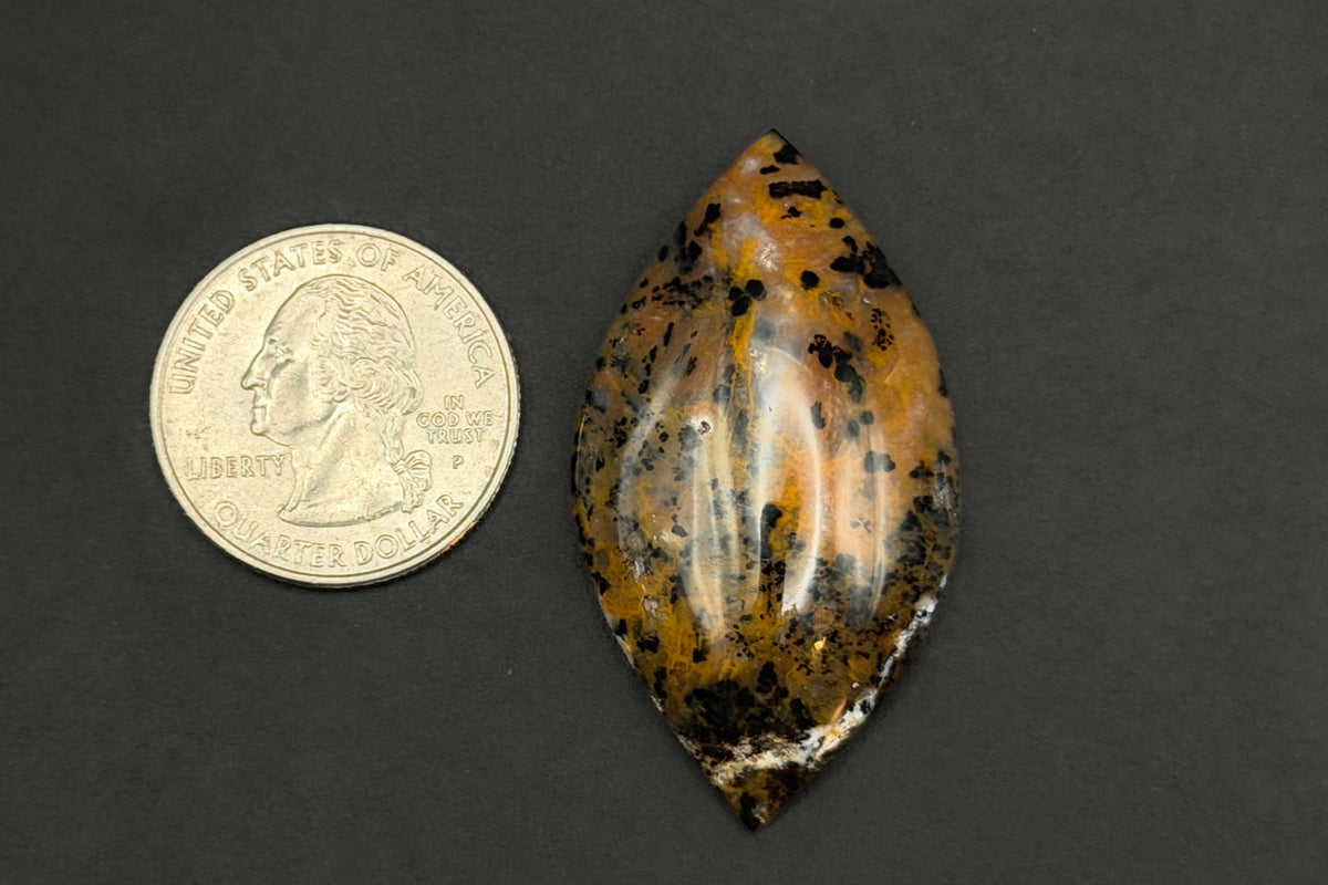 Cheetah Agate