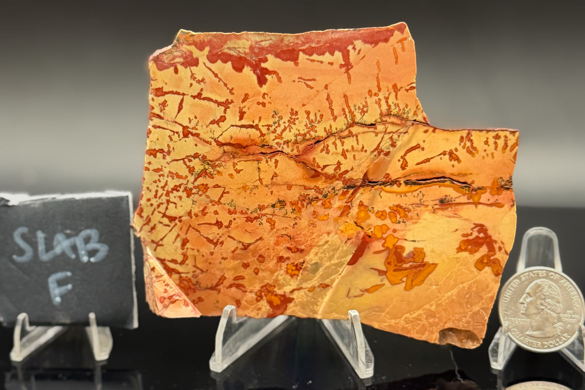 Owyhee Jasper (Unpolished)