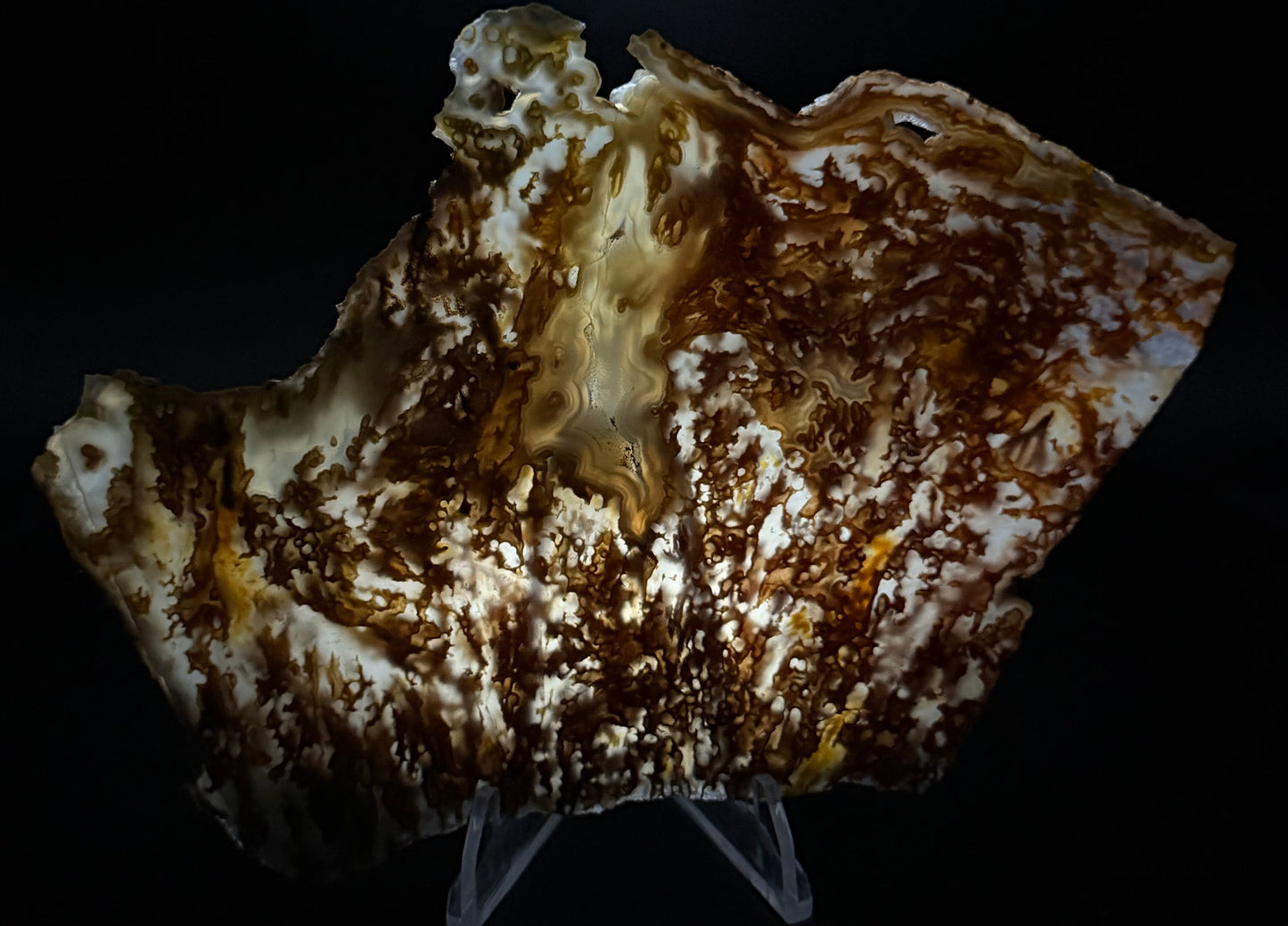 Bull Canyon Tube/Moss Agate (Unpolished)