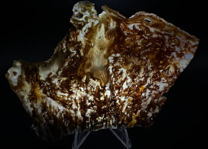 Bull Canyon Tube/Moss Agate (Unpolished)