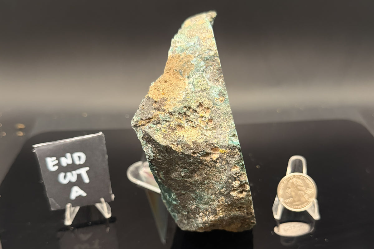 Turkish Limbcast with Agatized Chrysocolla (Unpolished)