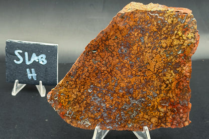 Spiderman Jasper Slabs (Unpolished)
