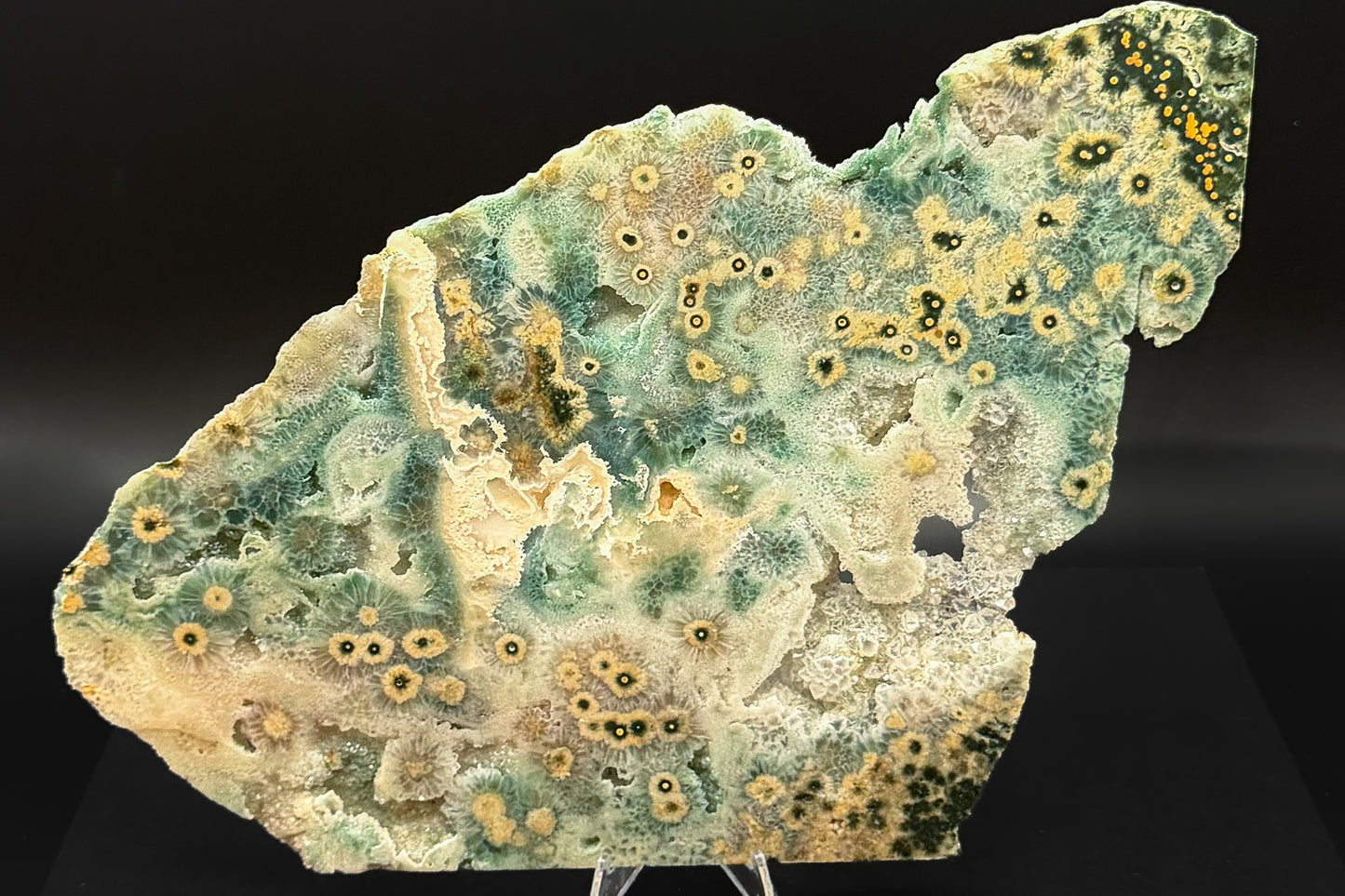 1st Vein Ocean Jasper (Unpolished)