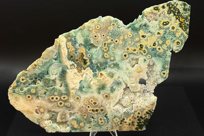 1st Vein Ocean Jasper (Unpolished)