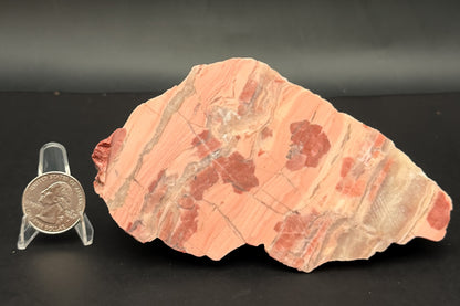 Unpolished Kona Dolomite