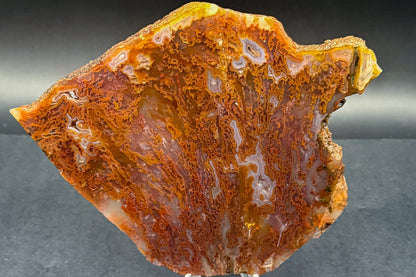 Bull Canyon Tube/Moss Agate (Unpolished)