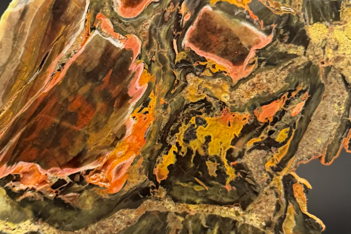 Turkish Petrified Wood (Unpolished)