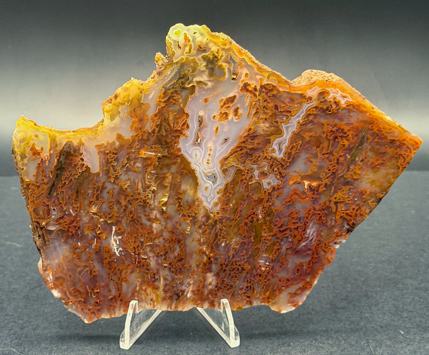 Bull Canyon Tube/Moss Agate (Unpolished)