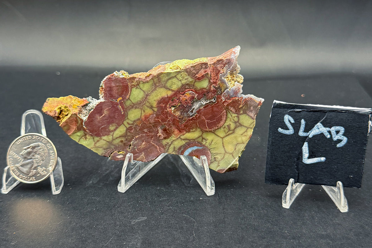 Spiderweb Jasper (Unpolished)