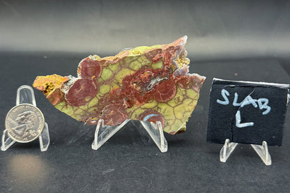 Spiderweb Jasper (Unpolished)