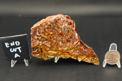 Leopard Skin Rhyolite (Unpolished)